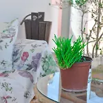 Апартаменты Home Suites *