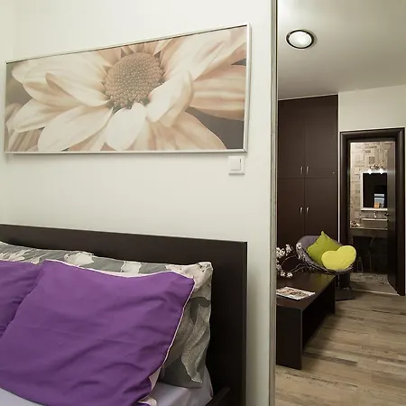 Home Suites דירה הרסוניסוס