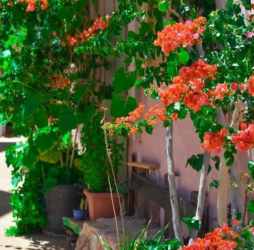 Apartament Home Suites Hersonissos (Crete)