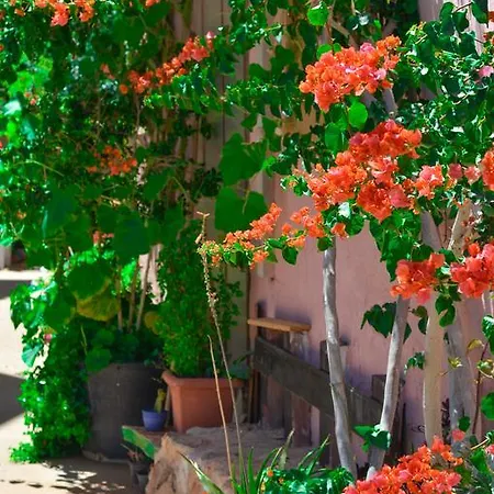 Apartament Home Suites Hersonissos (Crete)