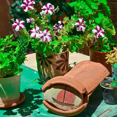 Apartament Home Suites Hersonissos (Crete)